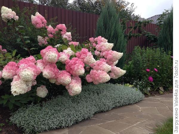 Что вот это за получка интересно?