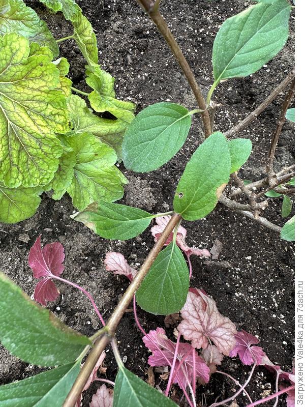 Целый набор всего.