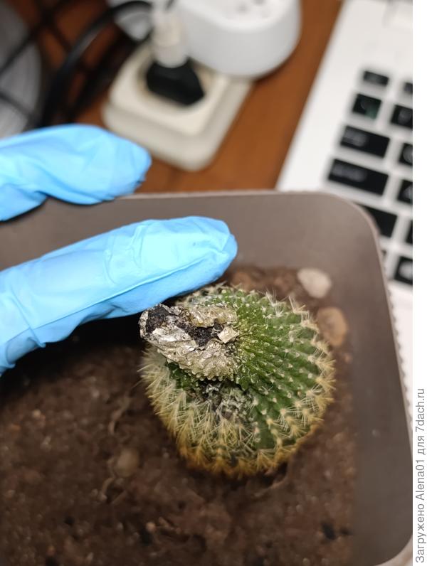 Чёрное -это остатки активированного угля