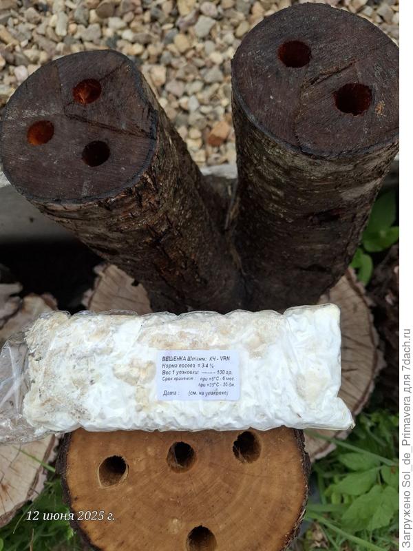 Чурбаки размочены, дырки насверлены.