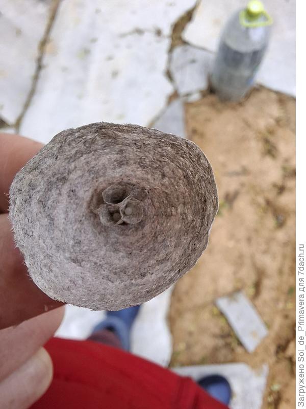 Вот такое гнездо пыталась свить оса внутри бытовки.