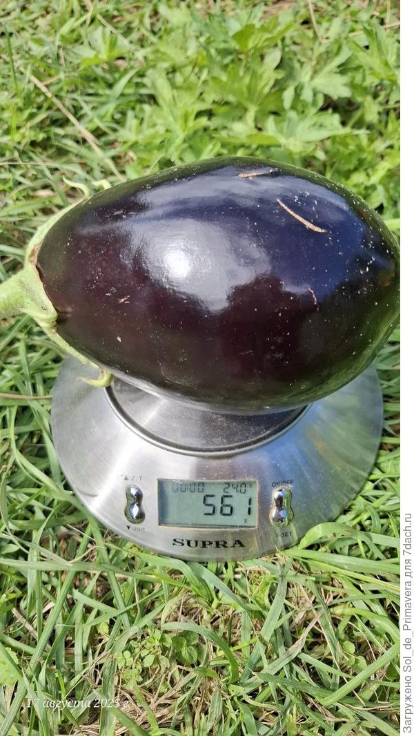 Вот такой Мурмаш вырос