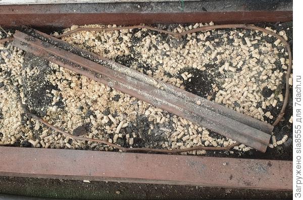 Лозу укладываю петлей в грядке, ближе к земле. Обрабатываю медным купоросом от болезней, припудриваю золой и укрываю этот "тоннель" тонким агроспаном в один слой. При гаступлении холодов, укладываю под укрытие отраву отигрызунов и укрываю дорнитом.