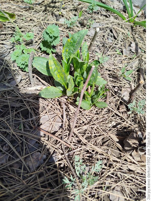 Так было в апреле