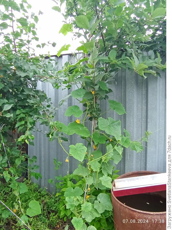 Воду уже девать не куда