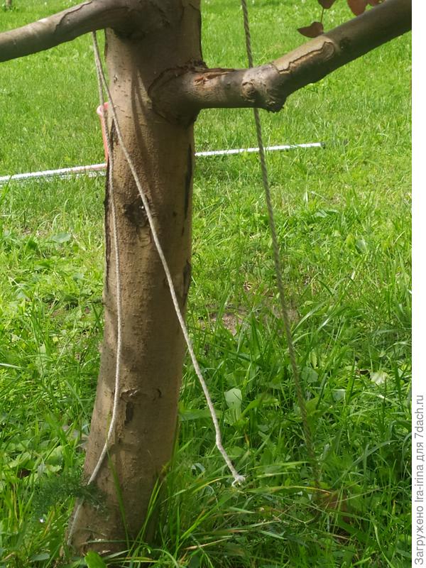 Ствол с противоположной стороны