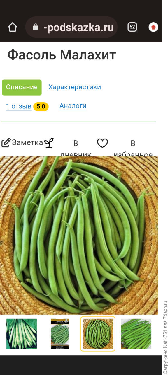 Вот такая у меня выросла. Но фото из интернета 🤗