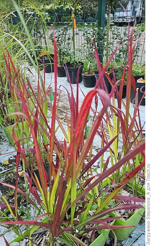 Ассортимент.