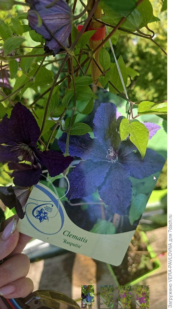 Фото с биркой