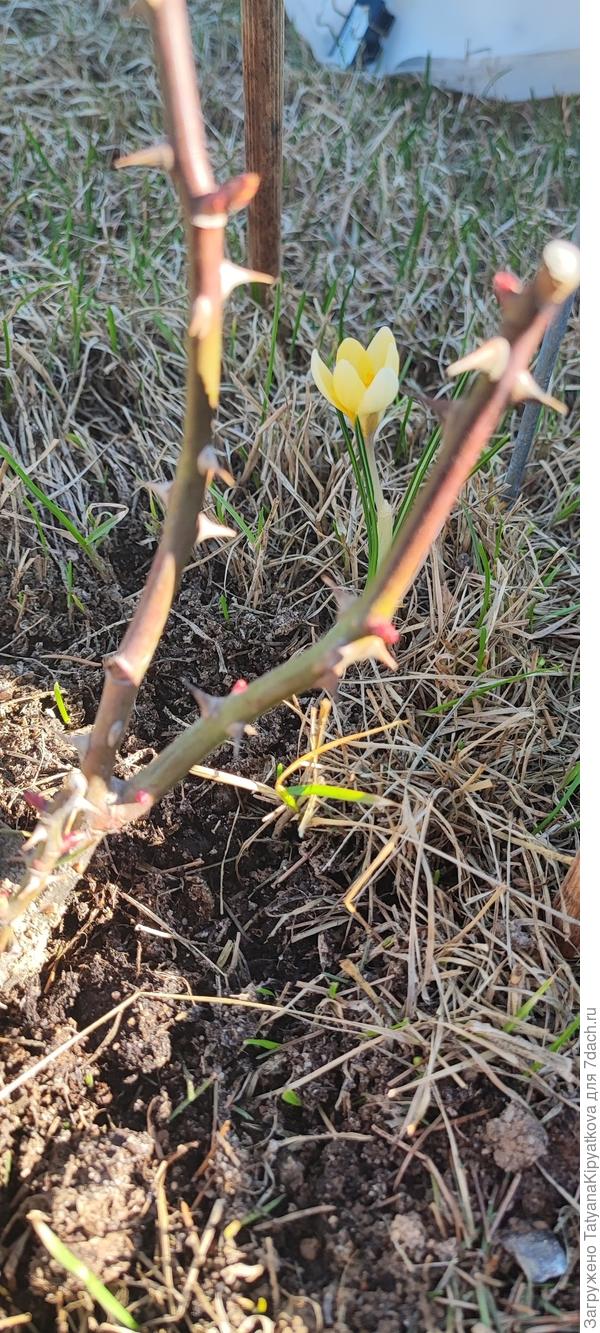 Фото от 4 апреля