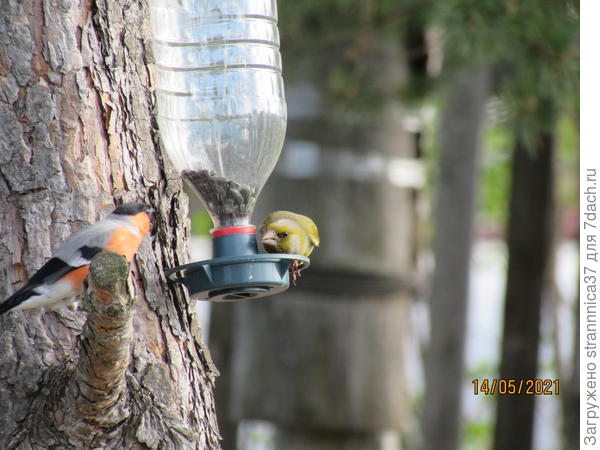 Тааак, кто это тут заявился?