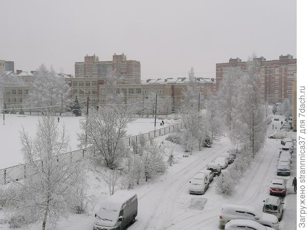 Снежное утро.