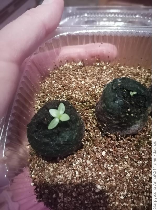 Красотуличка⭐