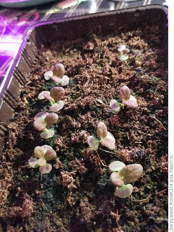 Так они выглядят сегодня