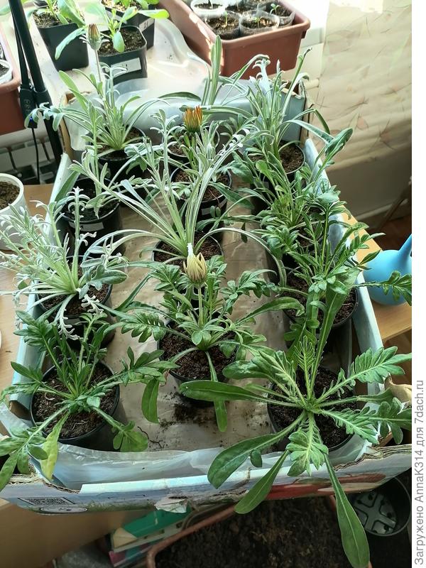 Это фото сегодня.