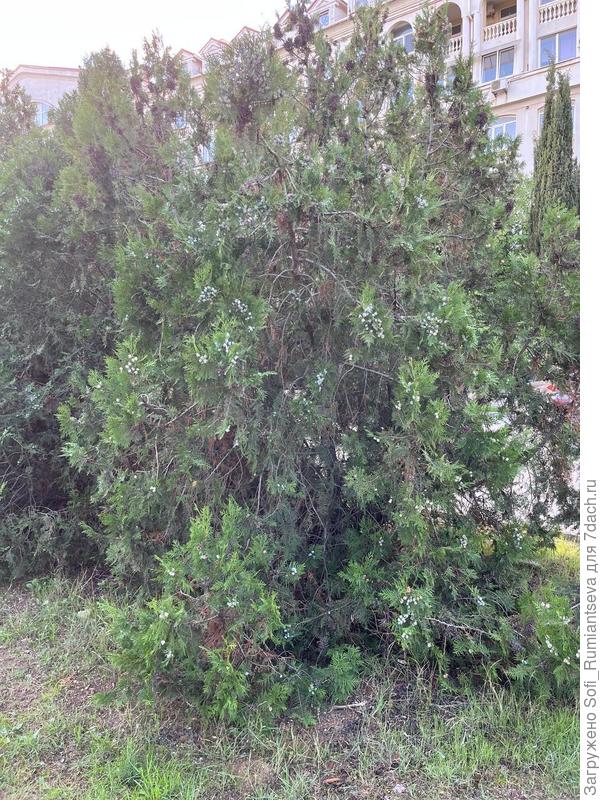 Первое фото