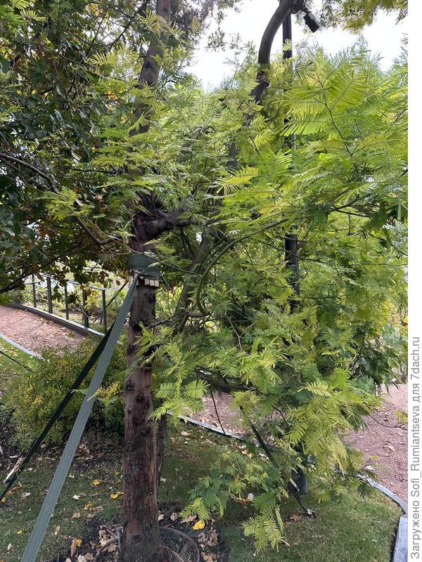 Второе фото