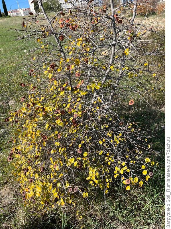 Первое фото