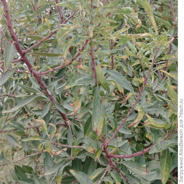 Другой ракурс