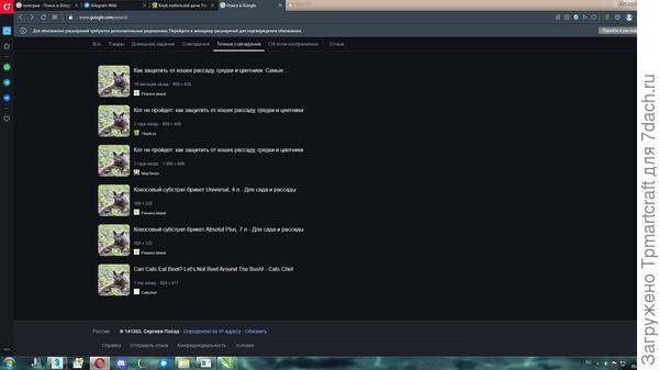 точные совпадения по гуглу по этому котику))) Прям свой котик с семидачья)))