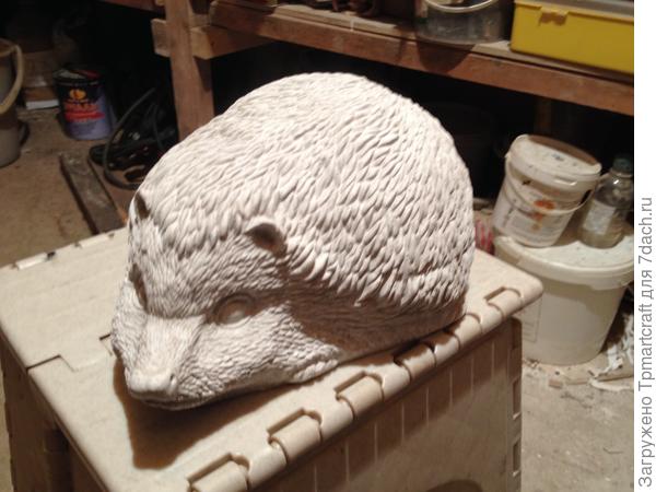 Ежик садовый