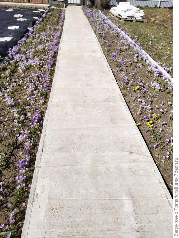 Дорожка без деформационных швов