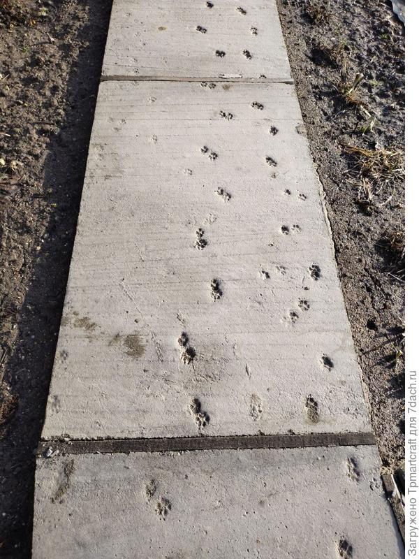 На фото видны деформационные швы из дерева