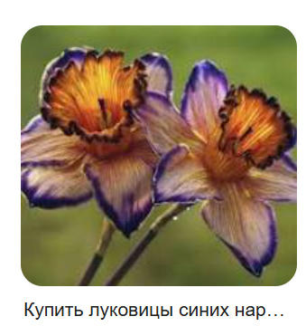 несуществующие в природе цветы из нейросети