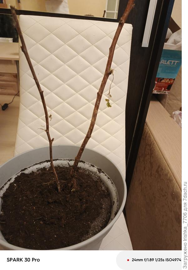 Это сегодняшний день... (((