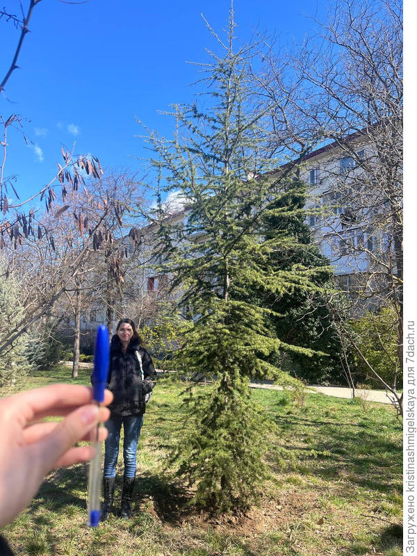 в полный рост