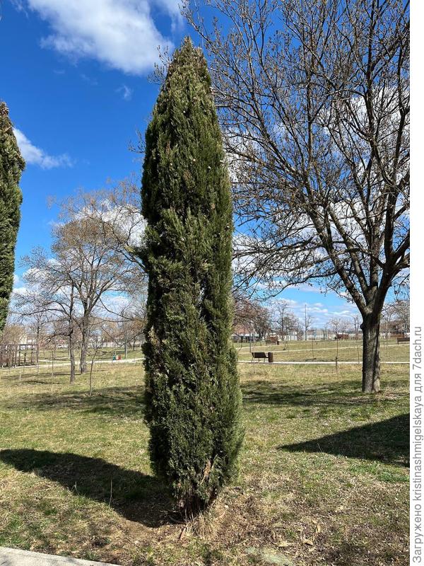 в полный рост