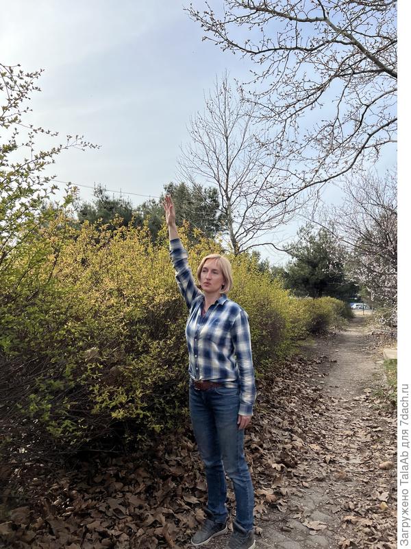 для сравнения, высота