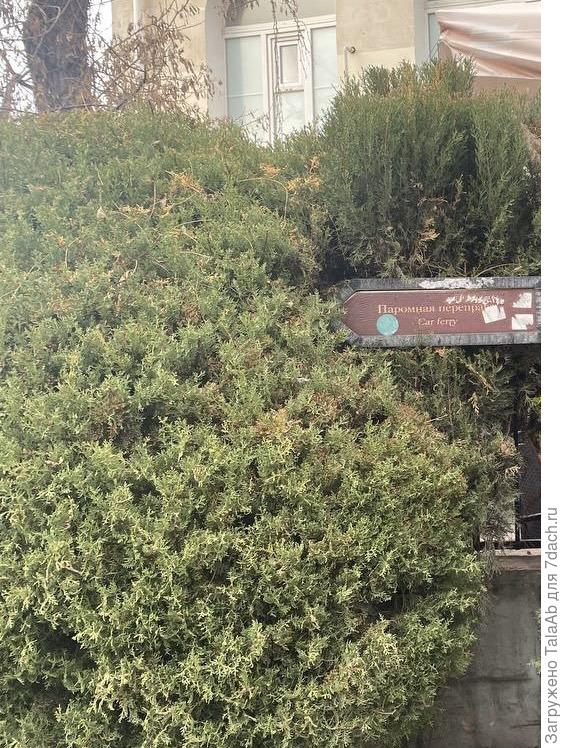 картинка поближе