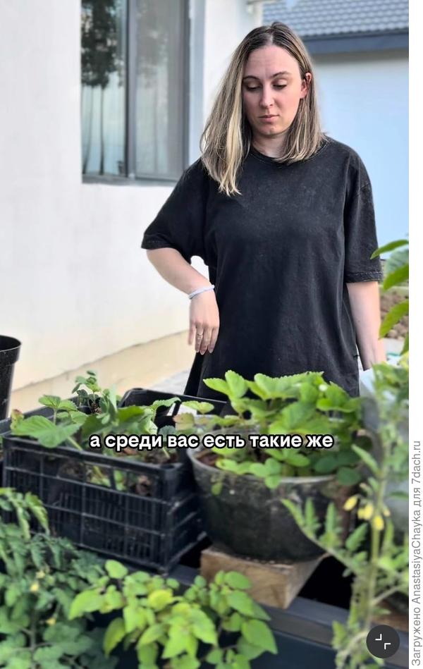 кто еще такой же нетерпеливый?