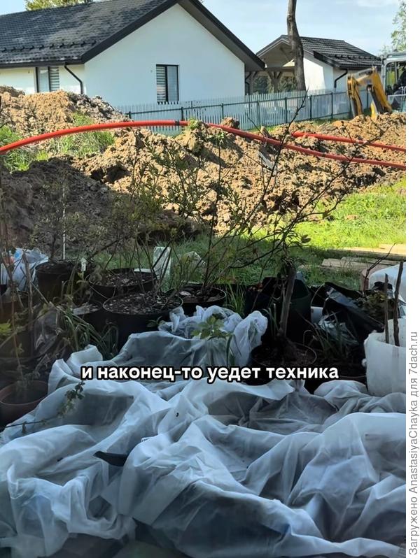 экскаватор и огород