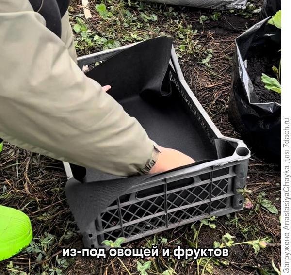 грядка