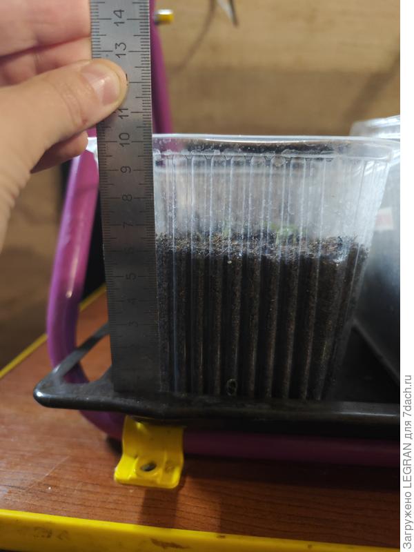 Глубокие поддоны