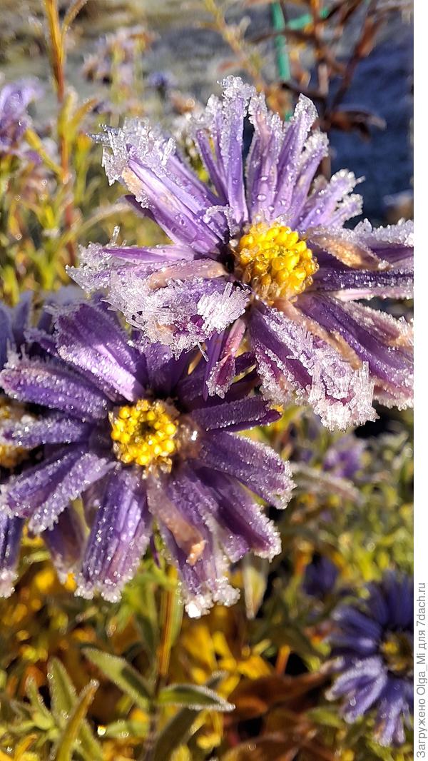 Октябринки