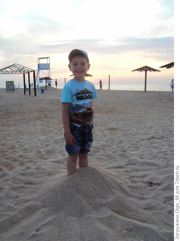 Голубицкая 2016