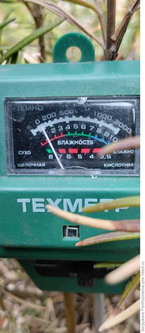 РН грунта у розмарина