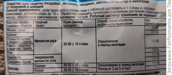 ТиовитДжет 2