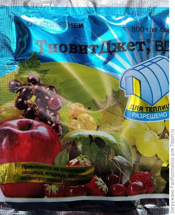 ТиовитДжет