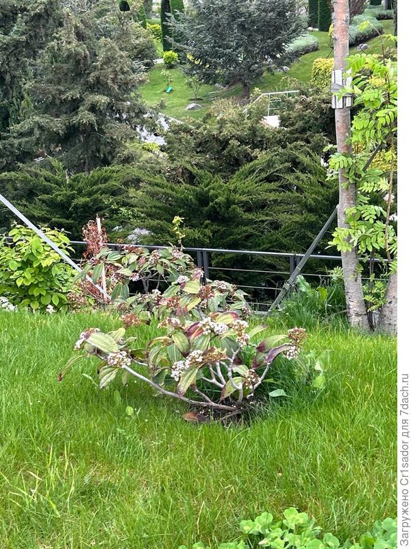 фото сделано 7 мая