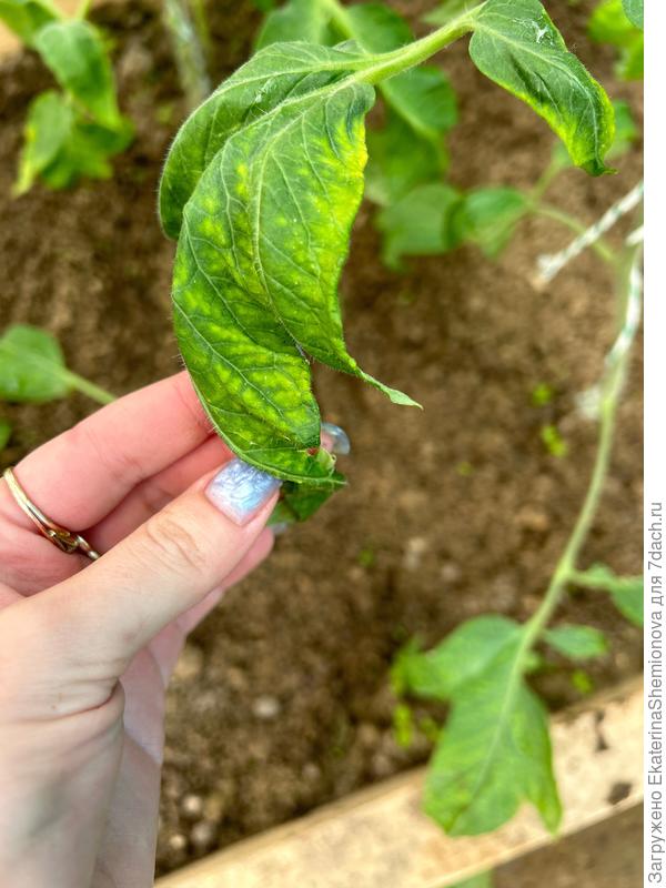 Это на другом листке