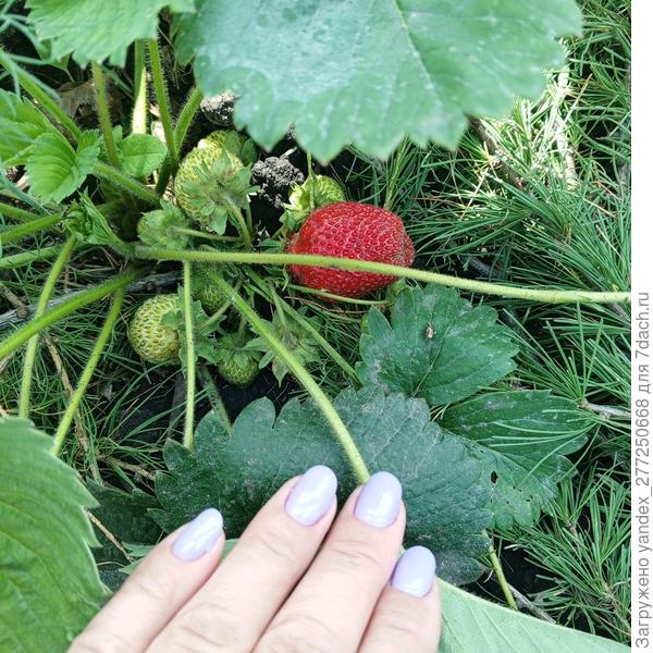 У некоторых все хорошо вроде