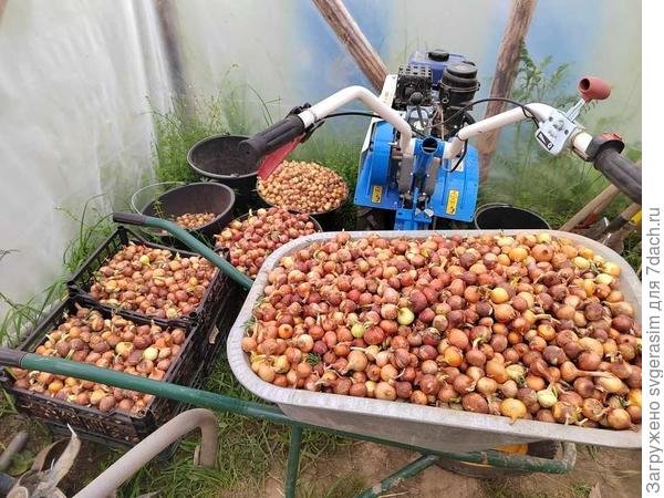 120 кг золота))))))