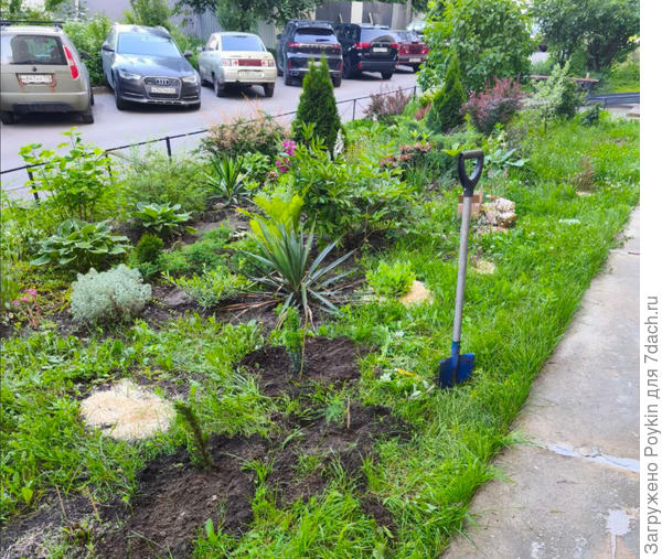 Поле для моих экспериментов