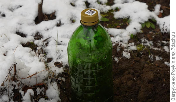 Укрытие Понцируса на первую зиму