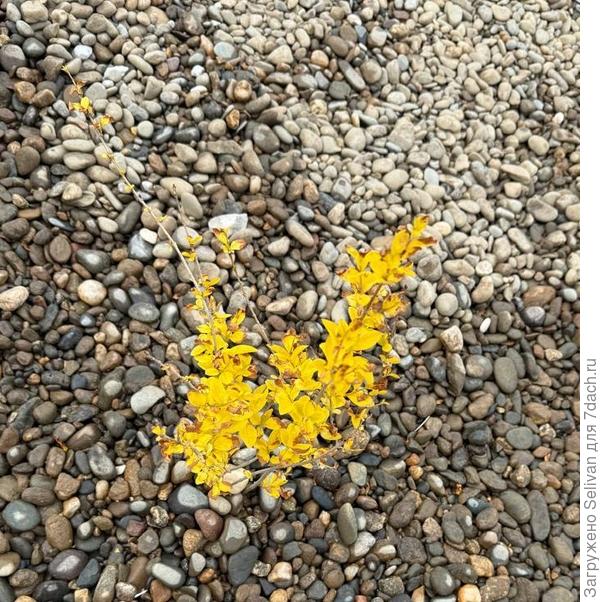 Так начиналось