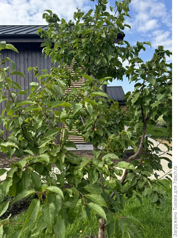 Глобально выглядит хорошо